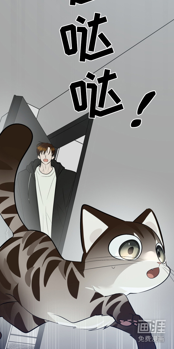 野猫的命定人类 第9话 第24页