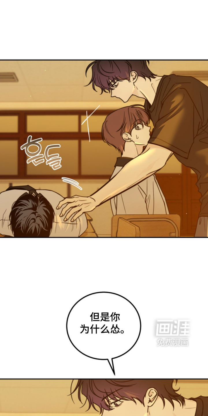 雨后的陌生人第31话图