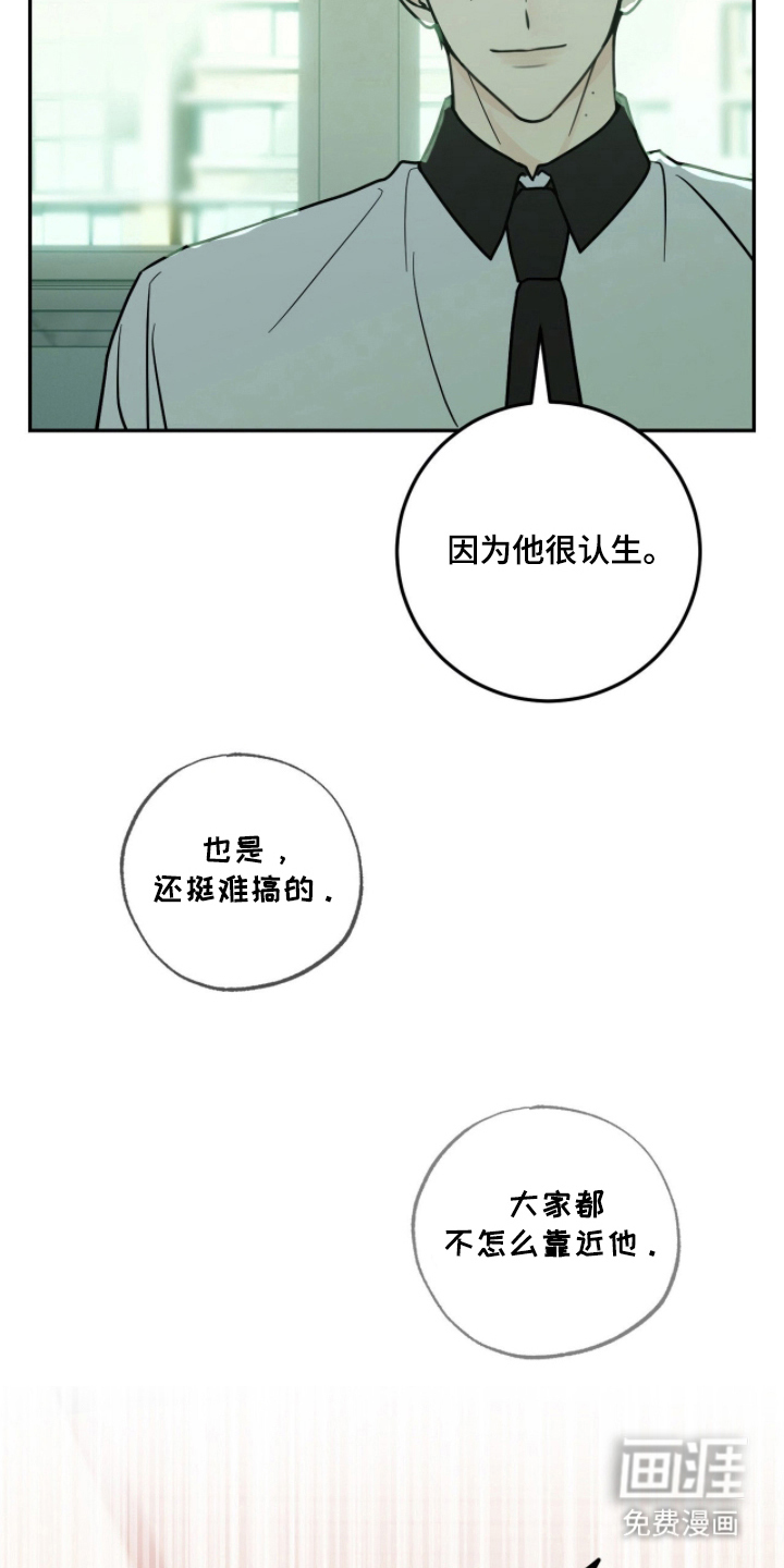 雨后的陌生人 第5话 第13页