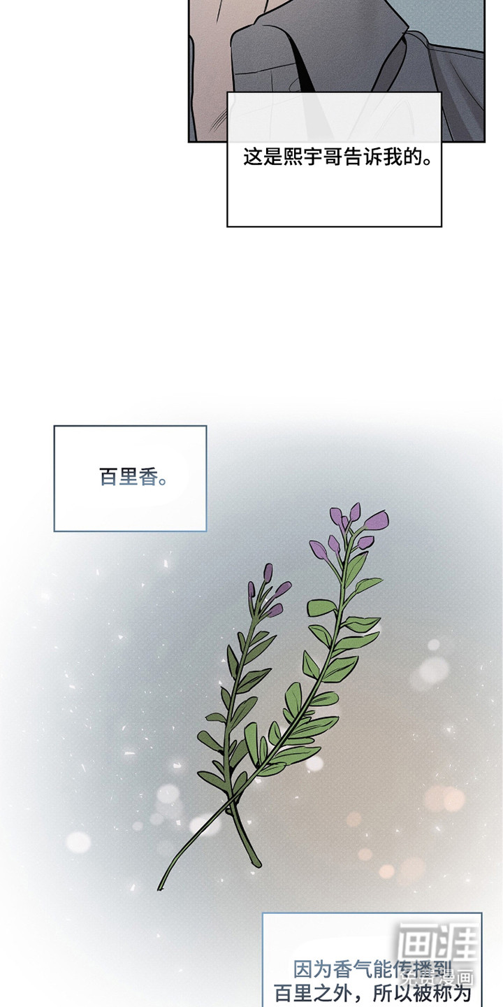 优性引力漫画-图17