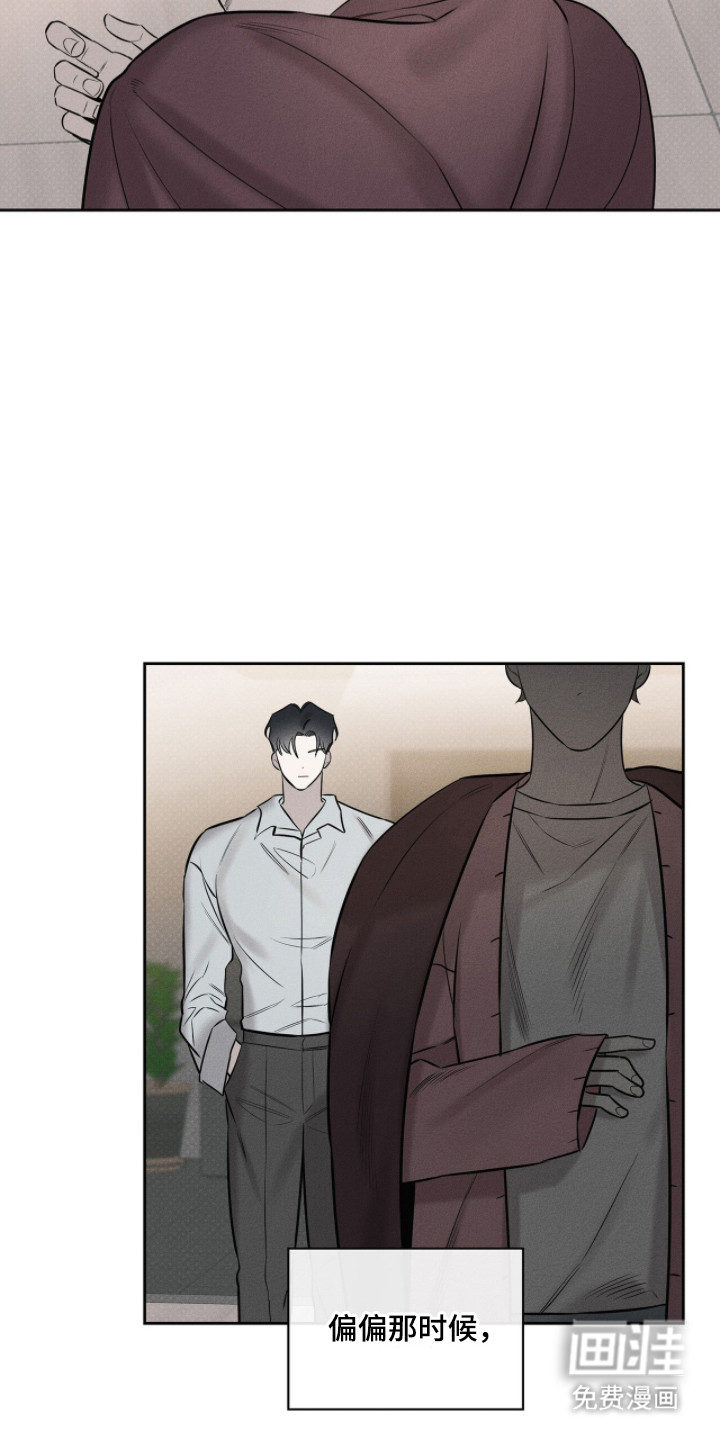 优性引力漫画-图5