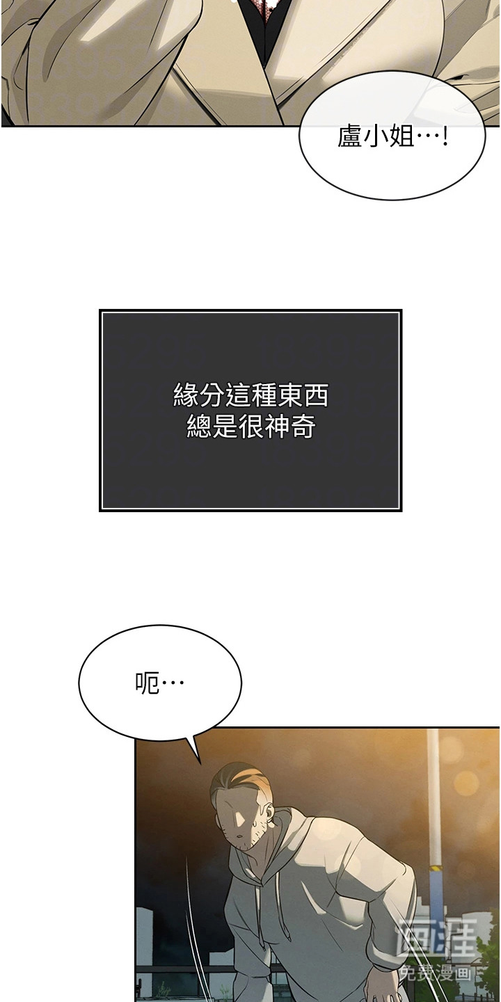 隐退的暴君漫画-图19