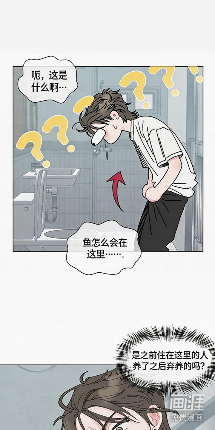鱼水情深漫画-图13