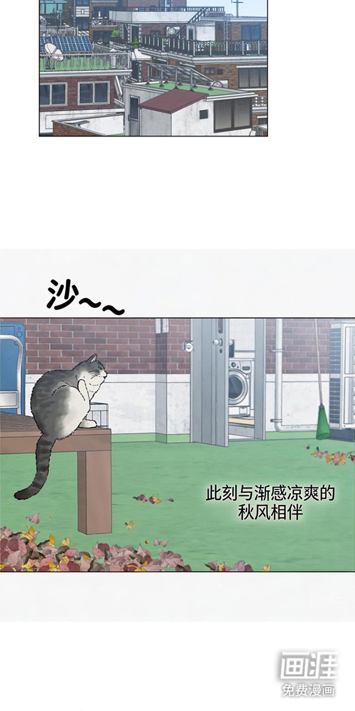 鱼水情深漫画-图15