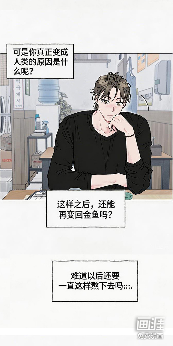鱼水情深漫画-图12