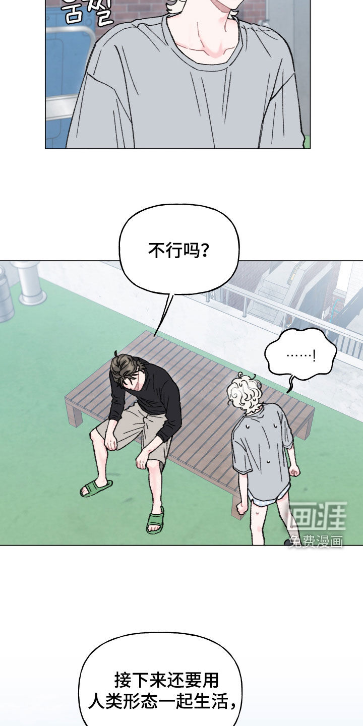 鱼水情深漫画-图20