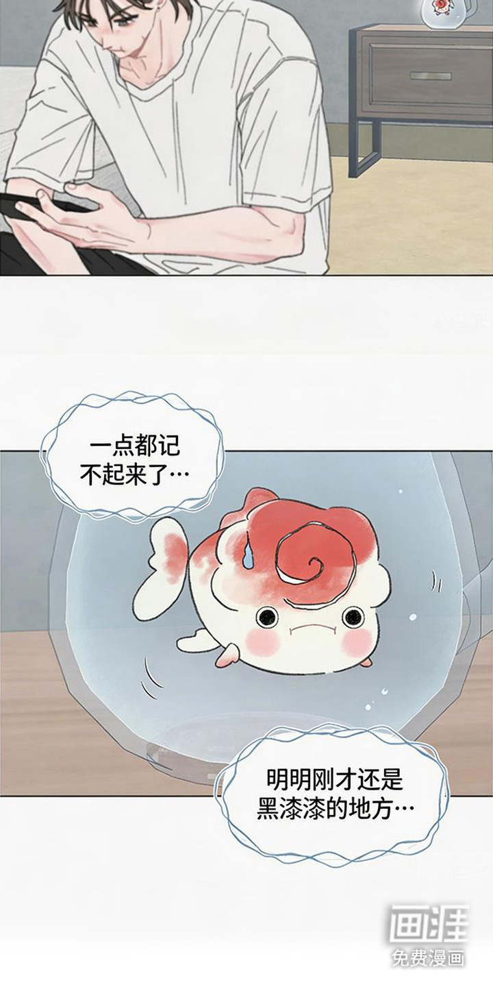 鱼水情深漫画-图2