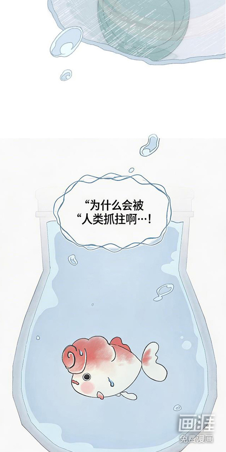 鱼水情深漫画-图4