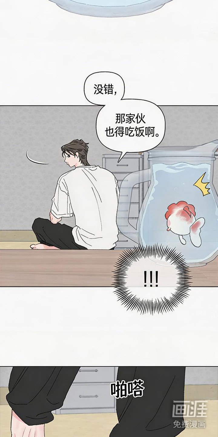 鱼水情深漫画-图5