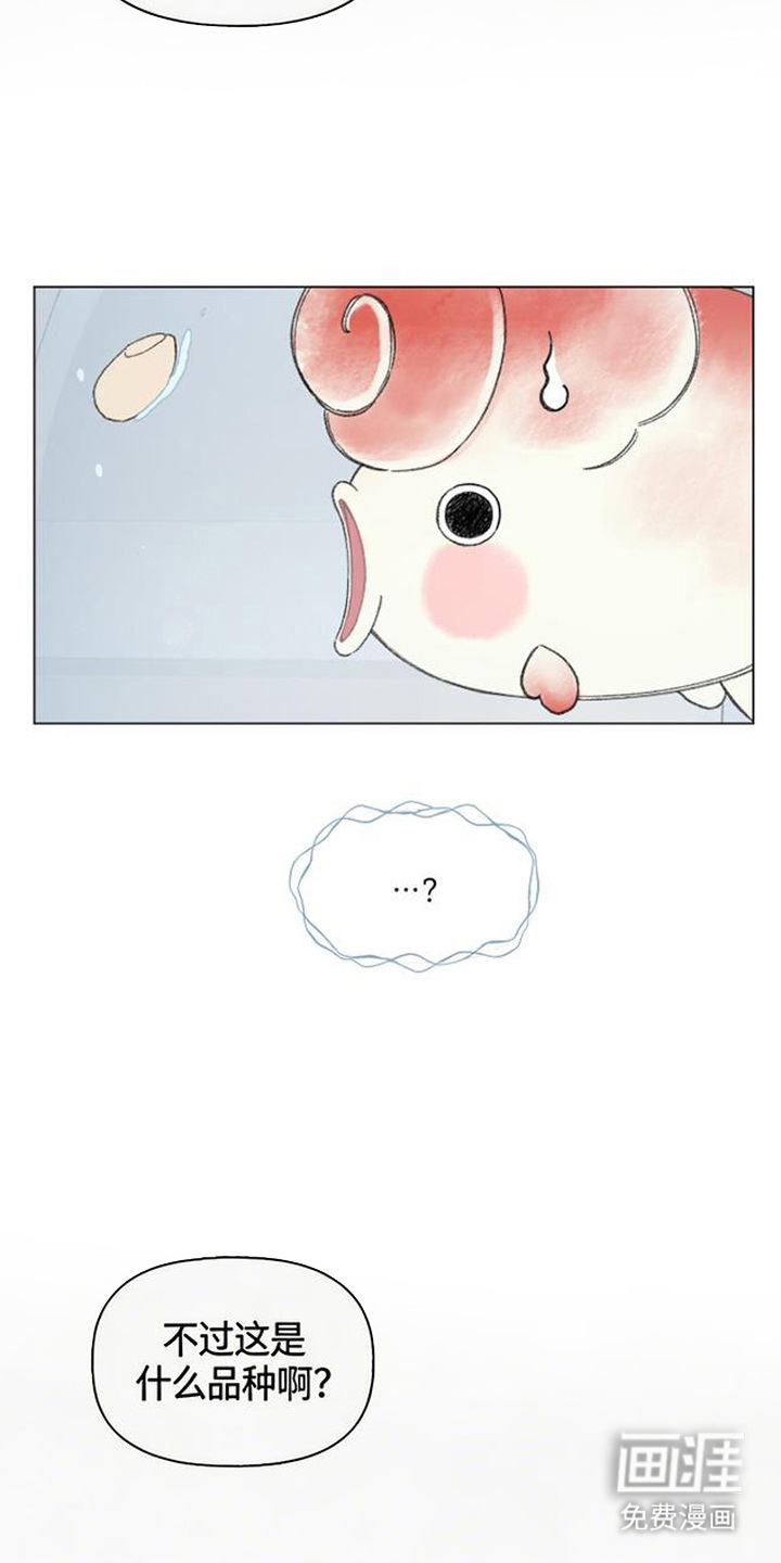鱼水情深漫画-图9