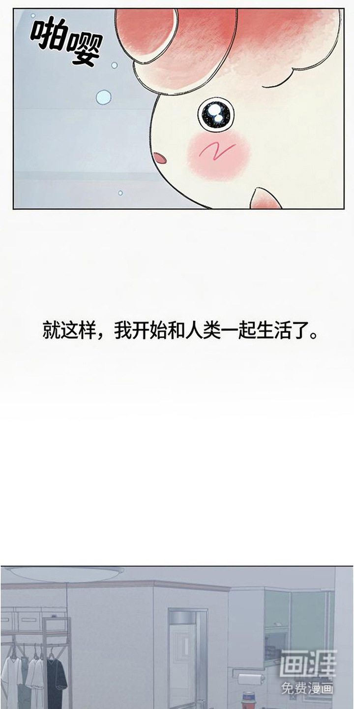 鱼水情深漫画-图11
