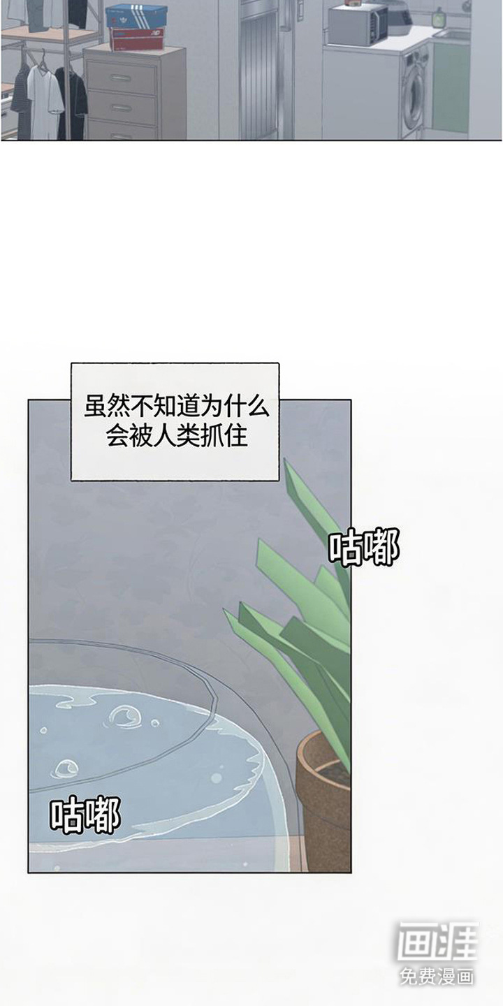 鱼水情深漫画-图12