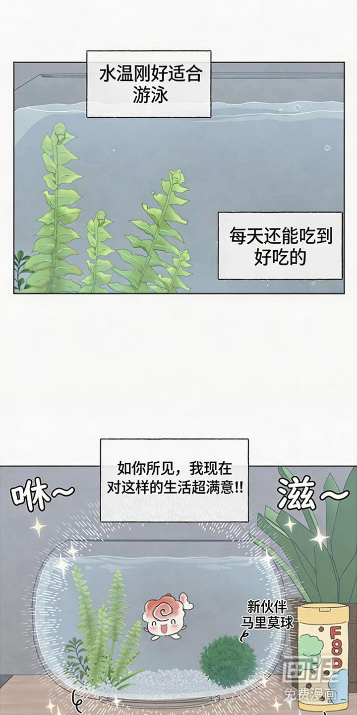 鱼水情深漫画-图13