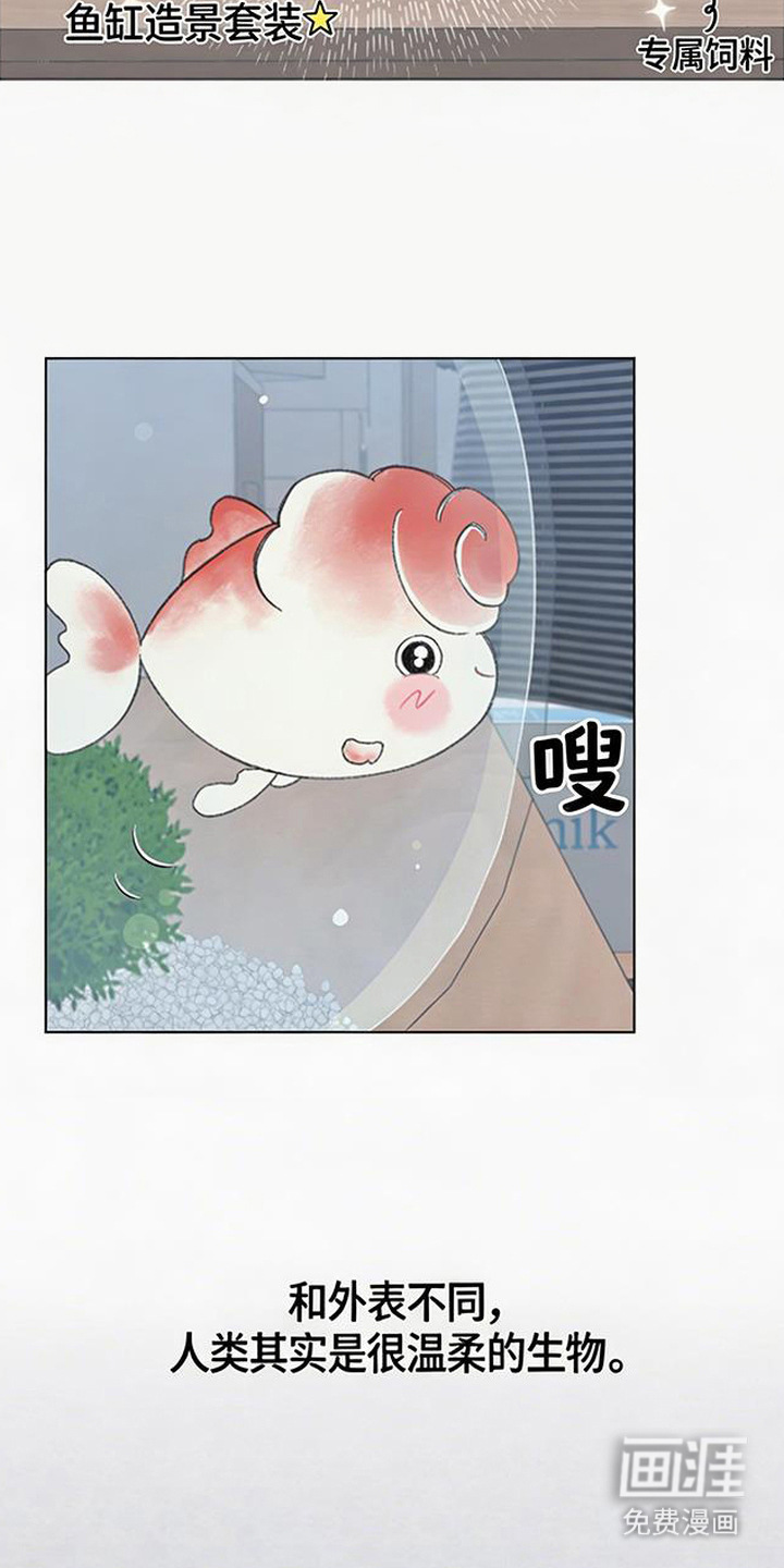 鱼水情深漫画-图14