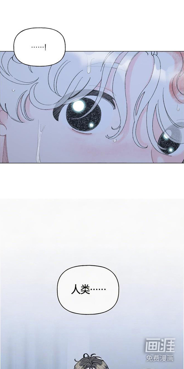 鱼水情深漫画-图11