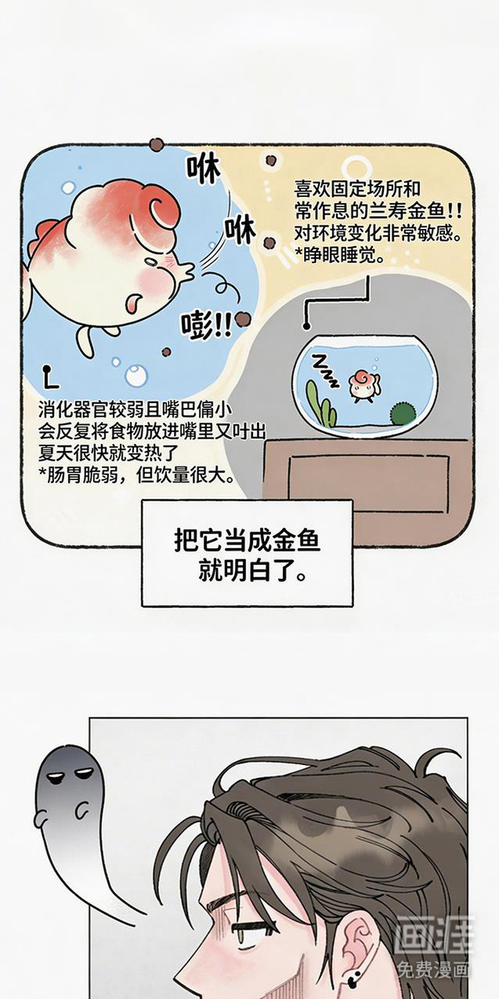 鱼水情深漫画-图13