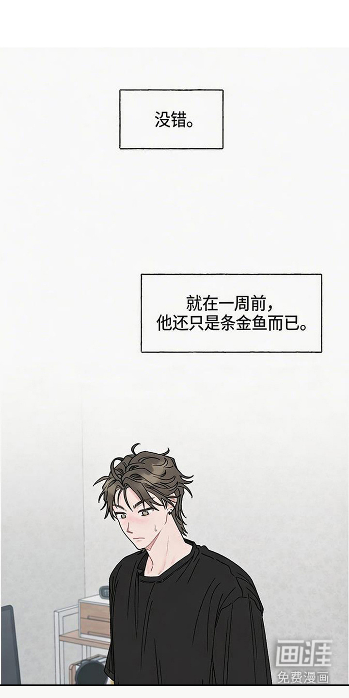 鱼水情深漫画-图0