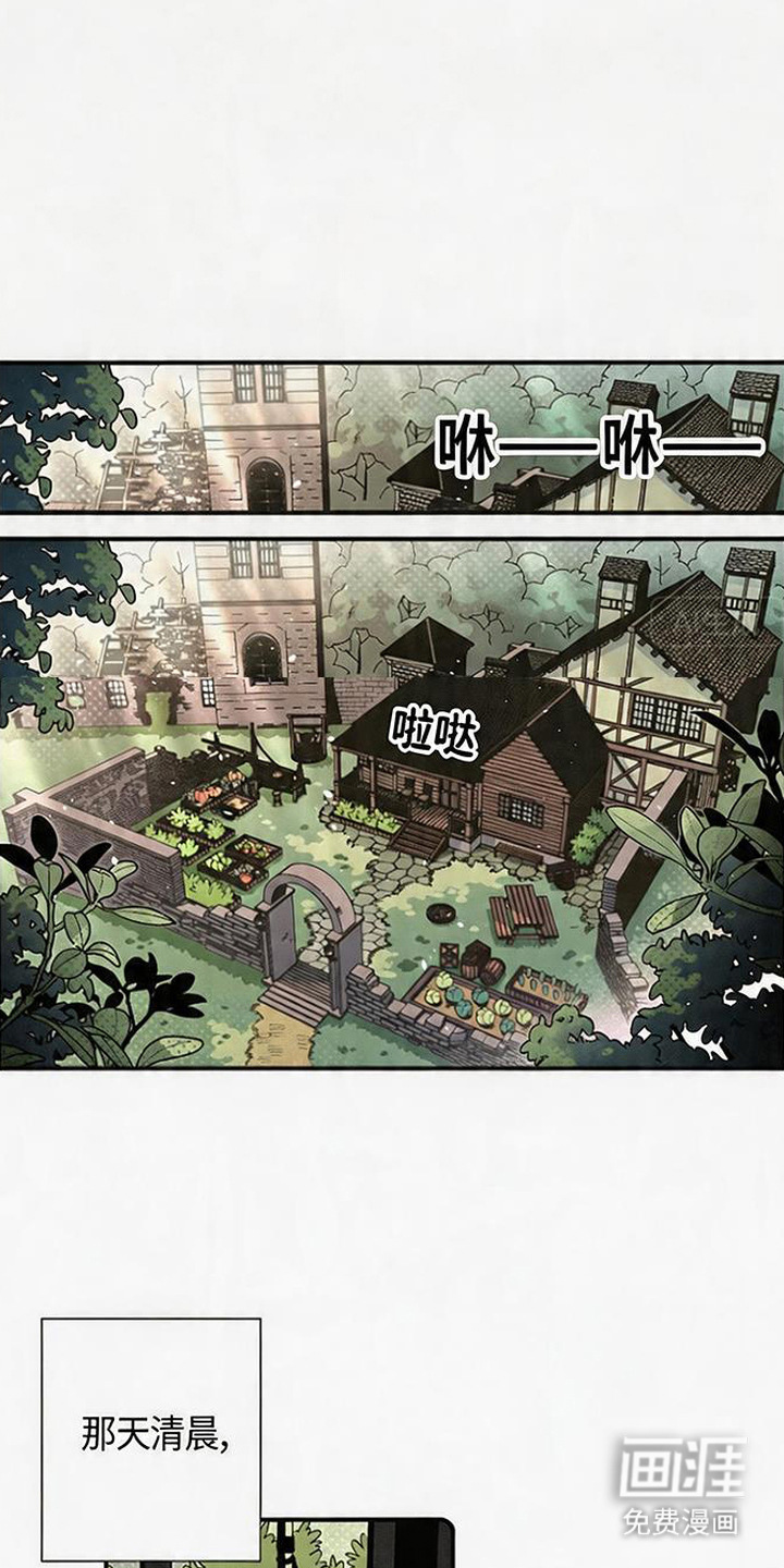 隐居的魔法师漫画-图11