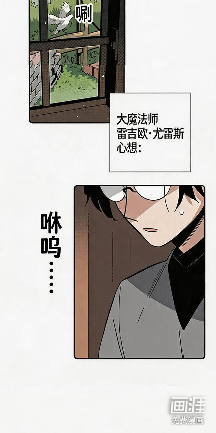 隐居的魔法师漫画-图12