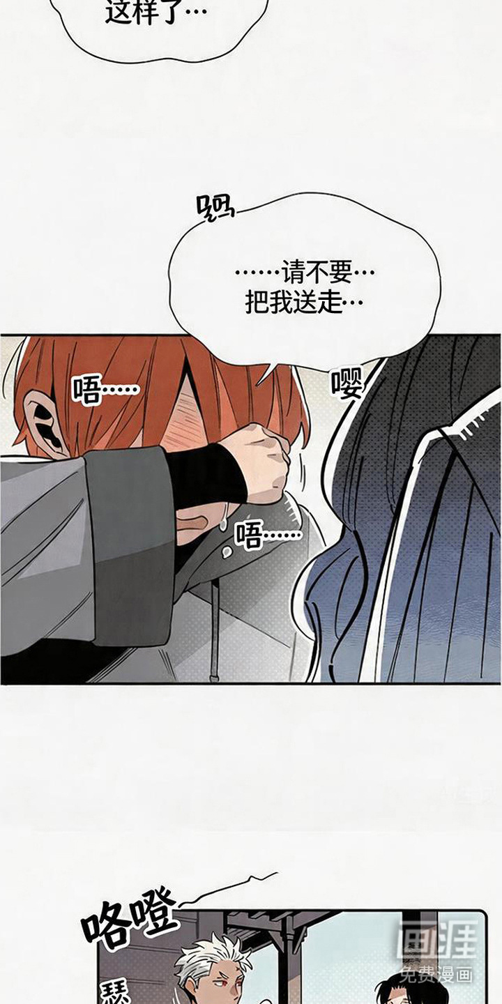隐居的魔法师漫画-图16