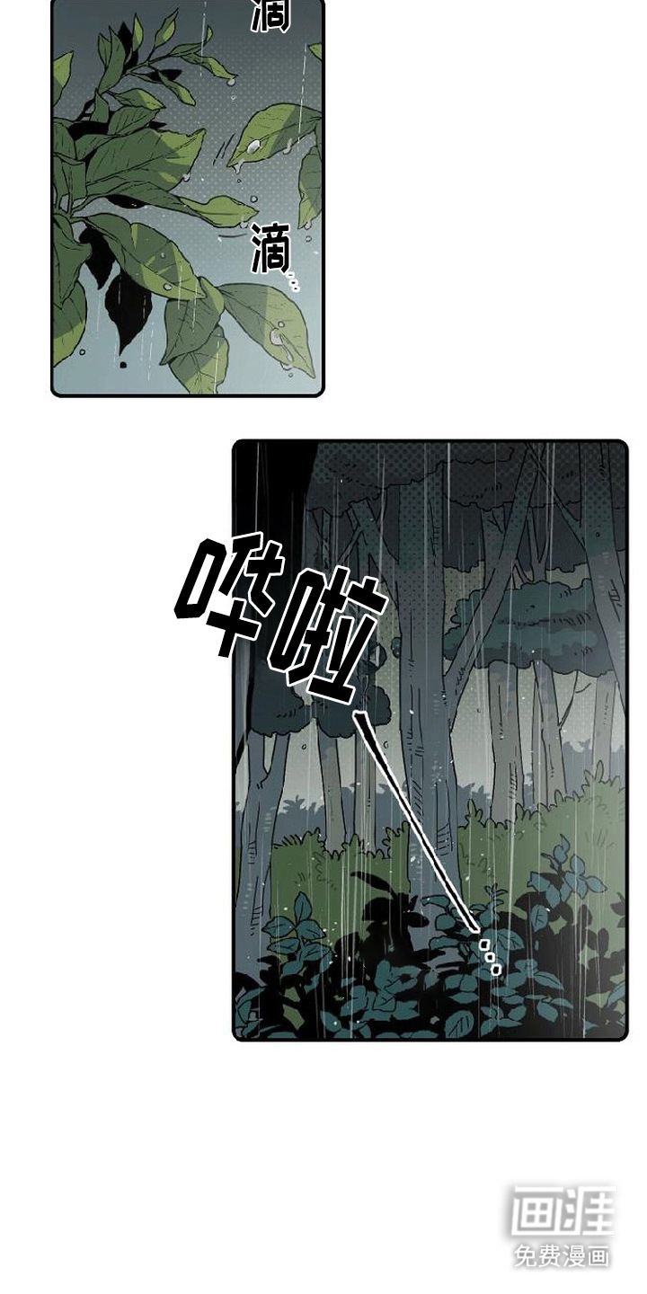 隐居的魔法师漫画-图11