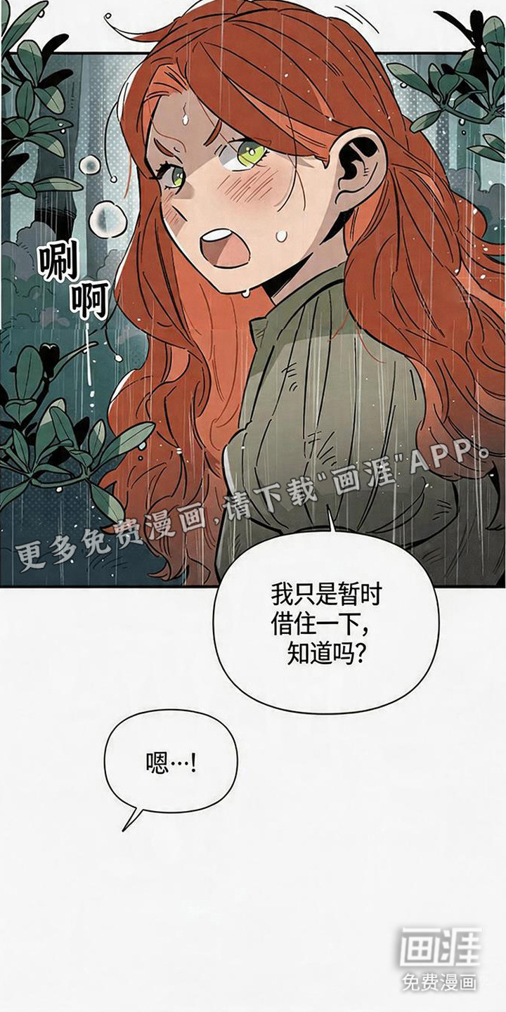 隐居的魔法师漫画-图16