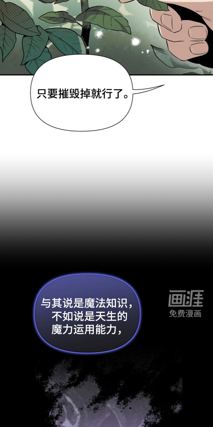 隐居的魔法师漫画-图13