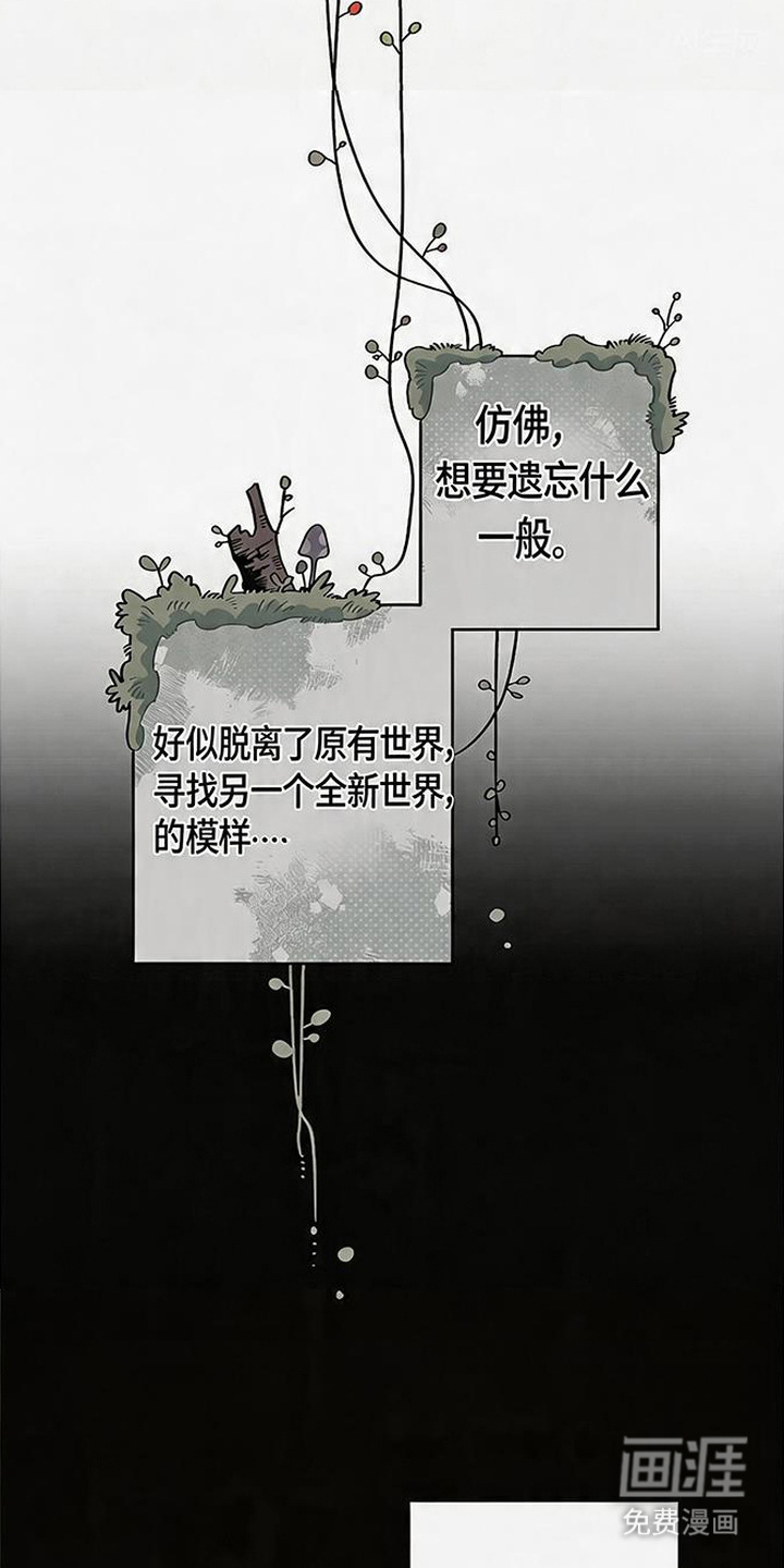 隐居的魔法师漫画-图15