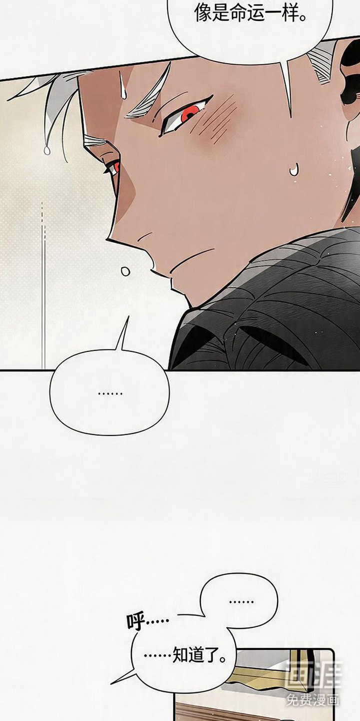 隐居的魔法师漫画-图10