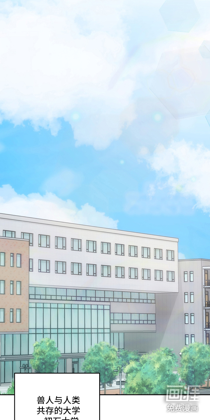 研究对象是哥哥漫画-图15