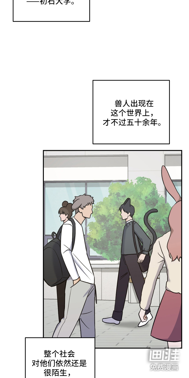 研究对象是哥哥漫画-图16
