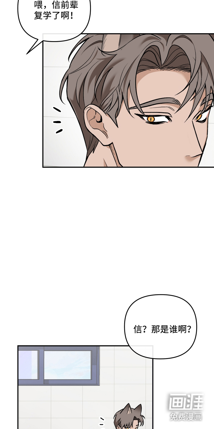 研究对象是哥哥漫画-图22
