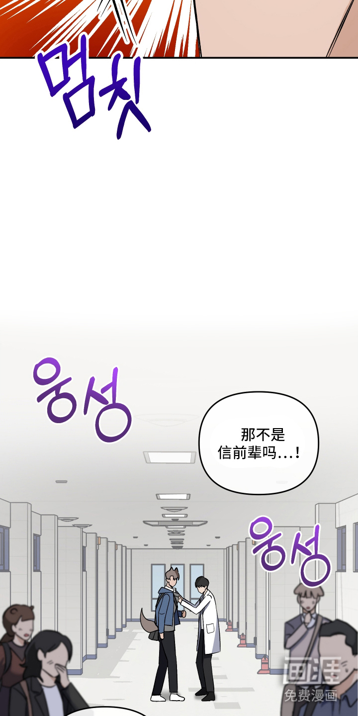 研究对象是哥哥漫画-图10