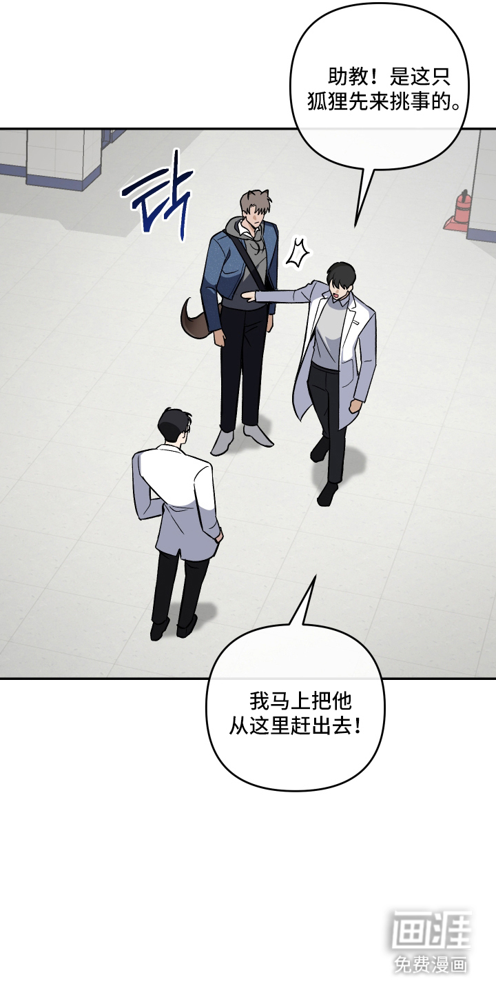 研究对象是哥哥漫画-图14