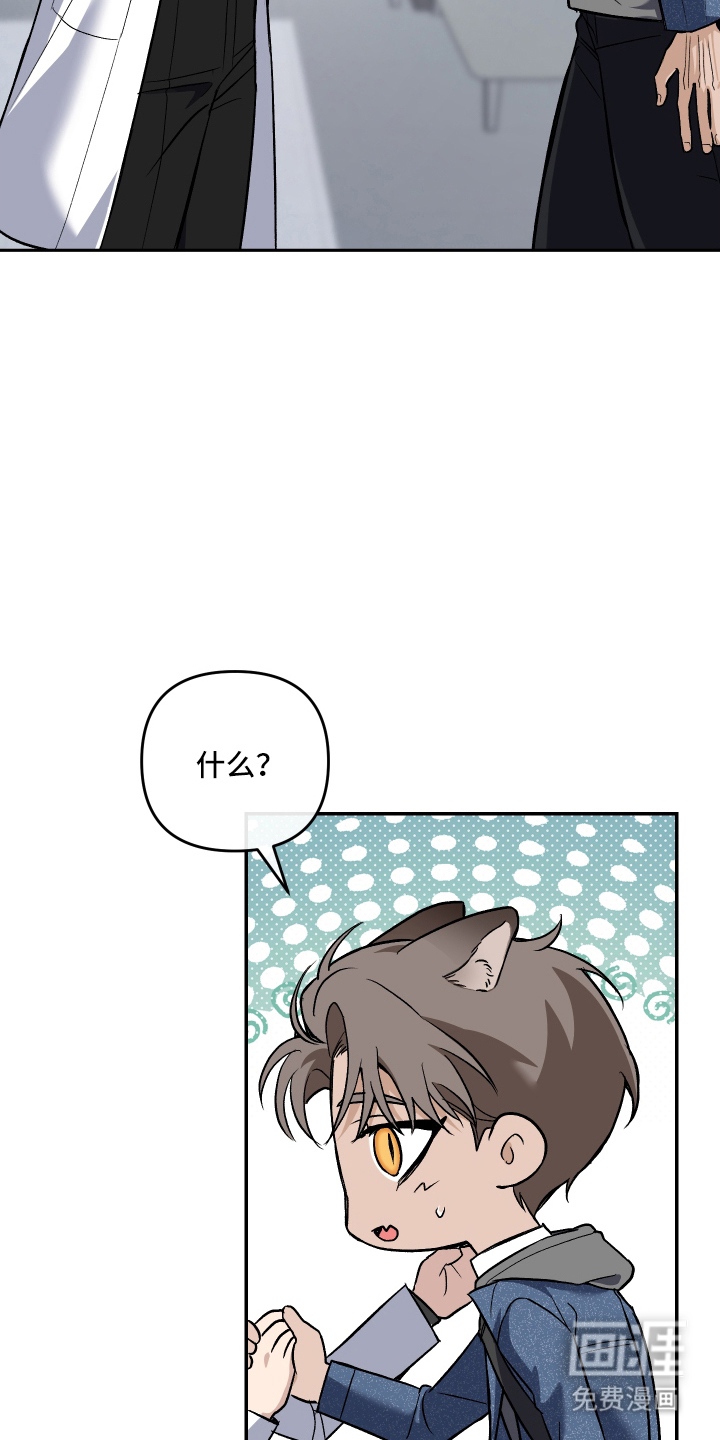 研究对象是哥哥漫画-图23
