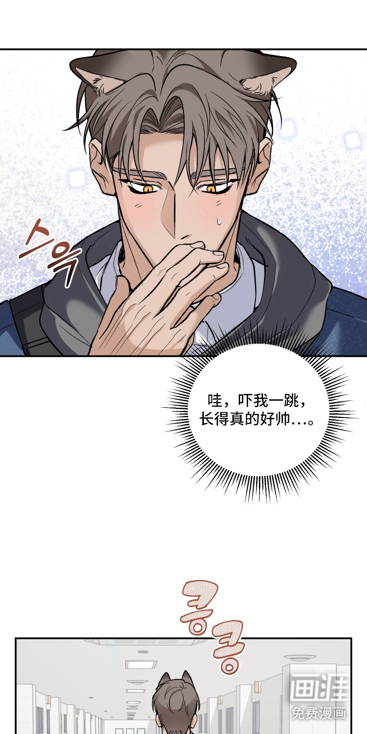 研究对象是哥哥第3话第1页
