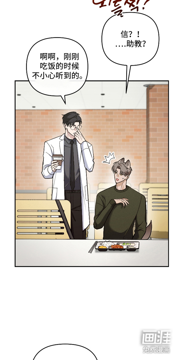 研究对象是哥哥漫画-图15