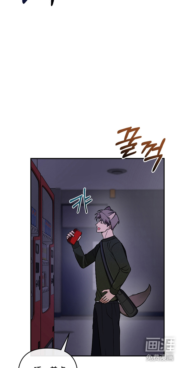 研究对象是哥哥漫画-图12