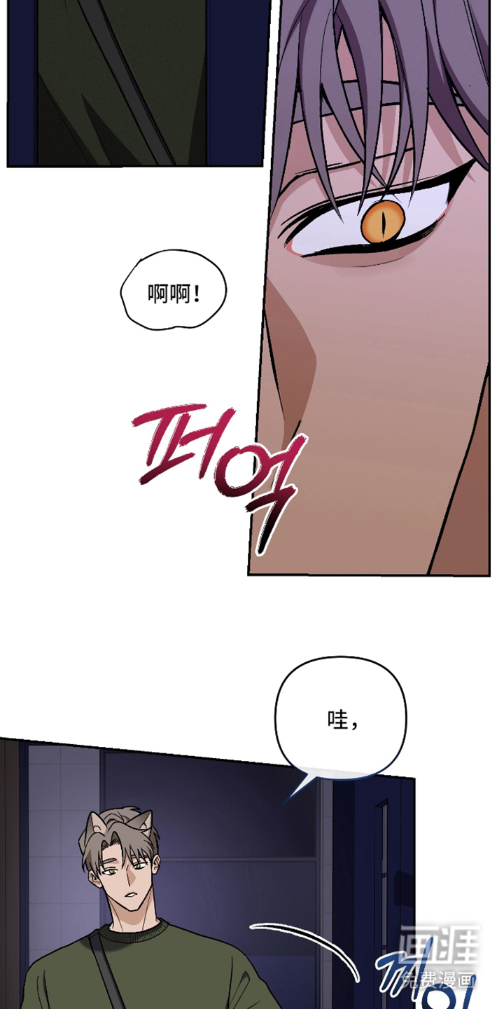 研究对象是哥哥漫画-图19