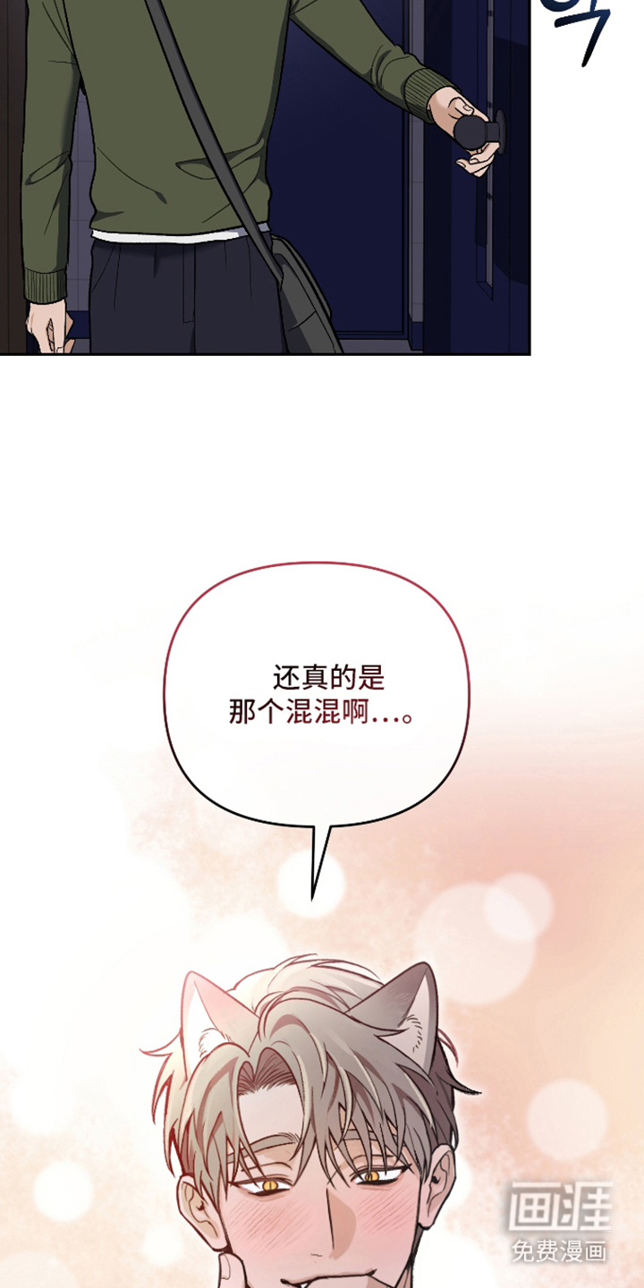 研究对象是哥哥漫画-图20