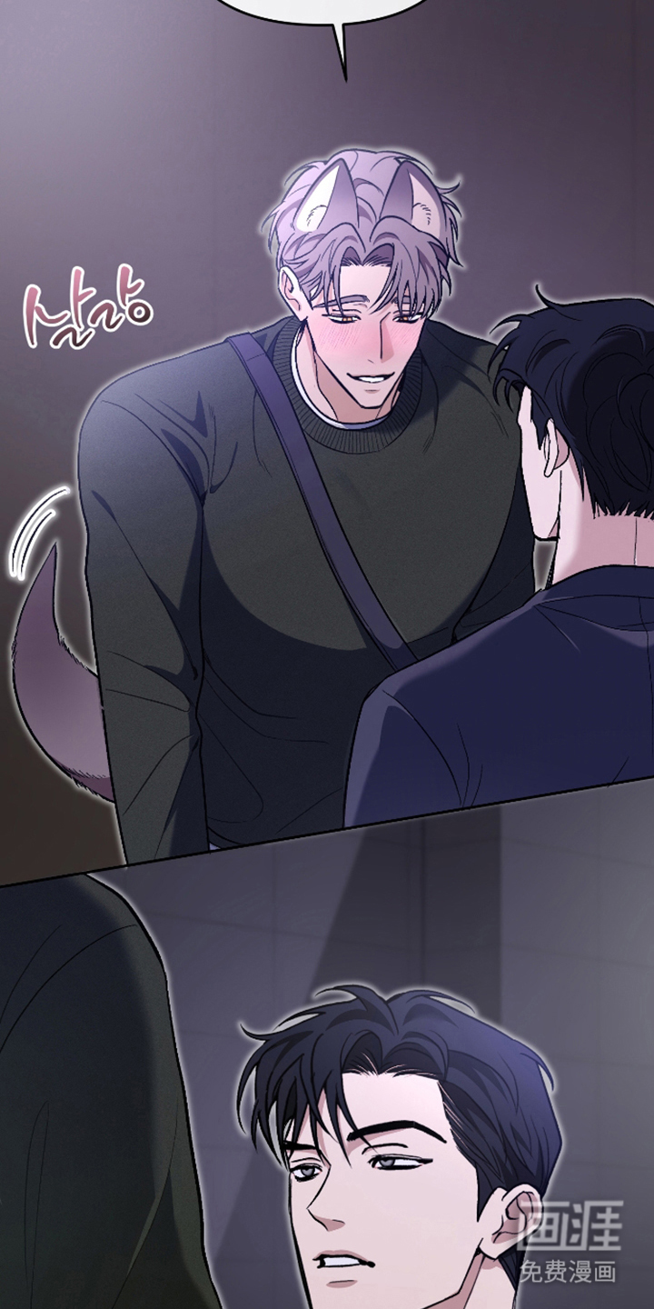 研究对象是哥哥漫画-图6