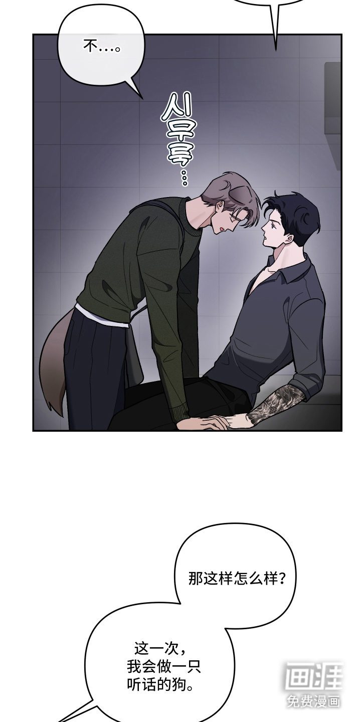 研究对象是哥哥漫画-图15