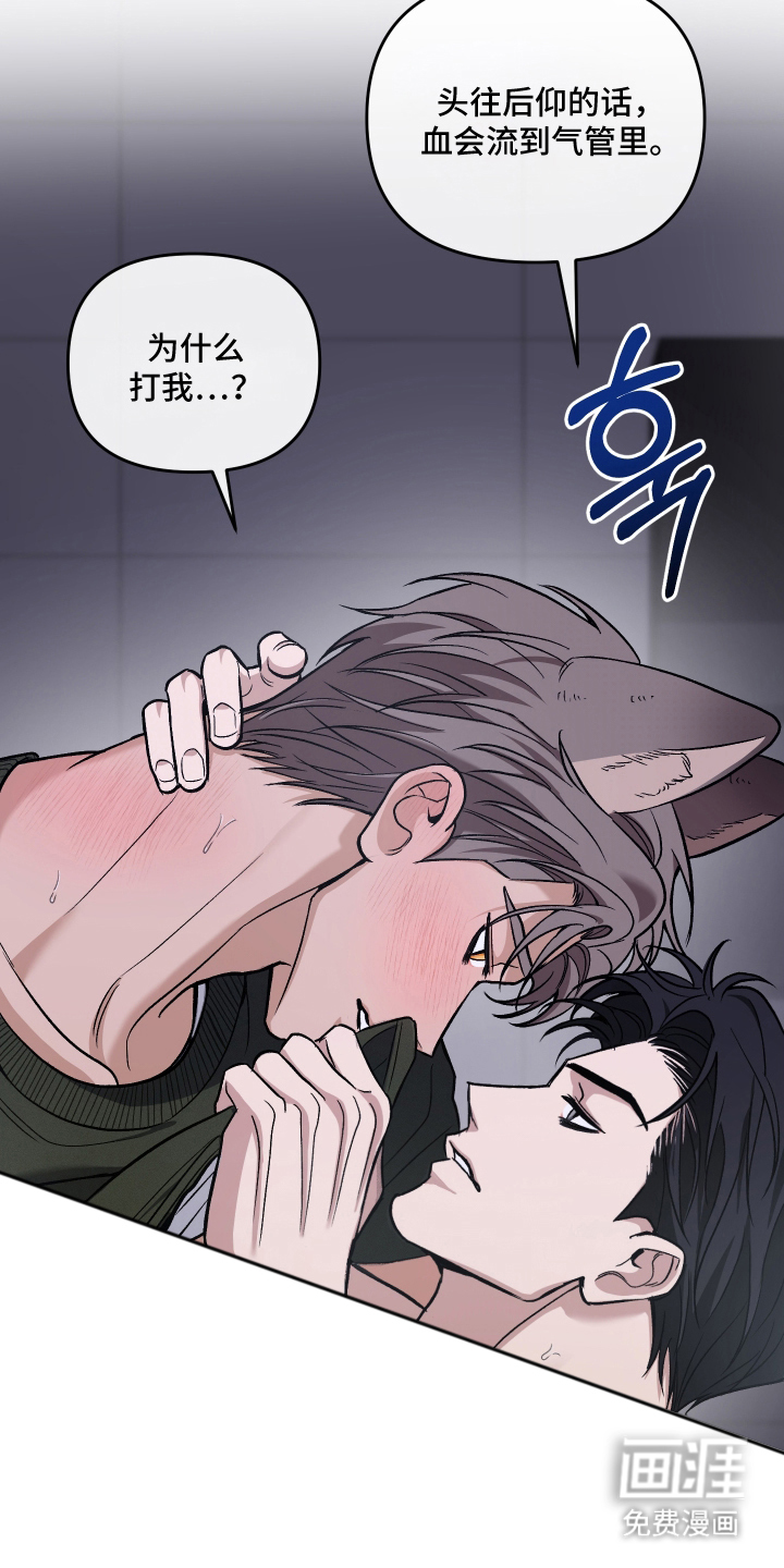 研究对象是哥哥漫画-图8