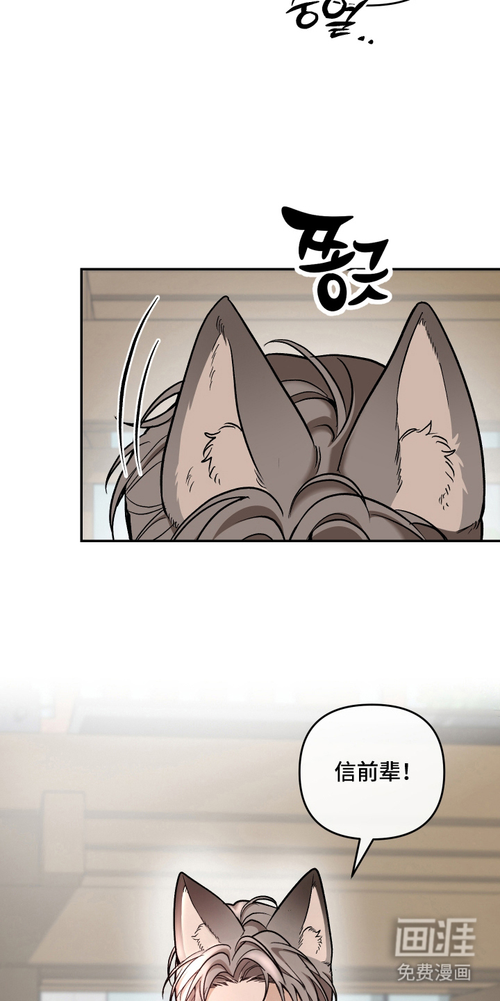 研究对象是哥哥漫画-图9
