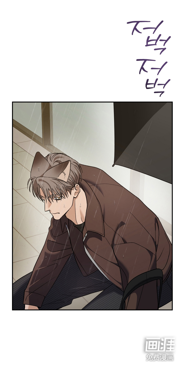 研究对象是哥哥漫画-图14