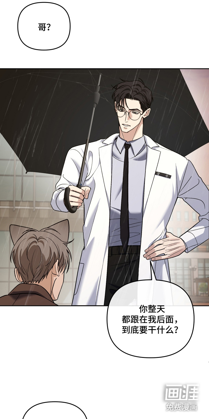 研究对象是哥哥漫画-图15