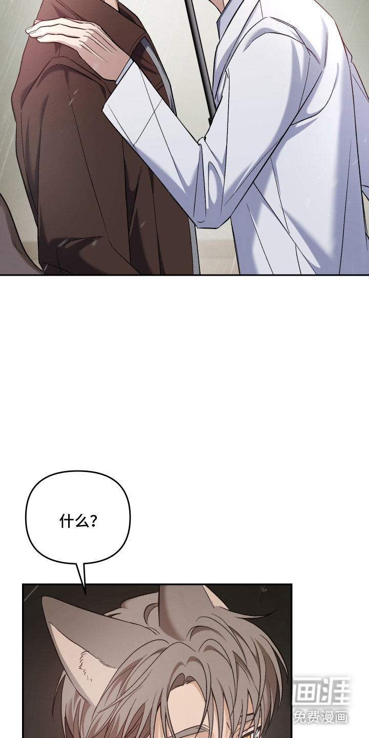 研究对象是哥哥漫画-图18