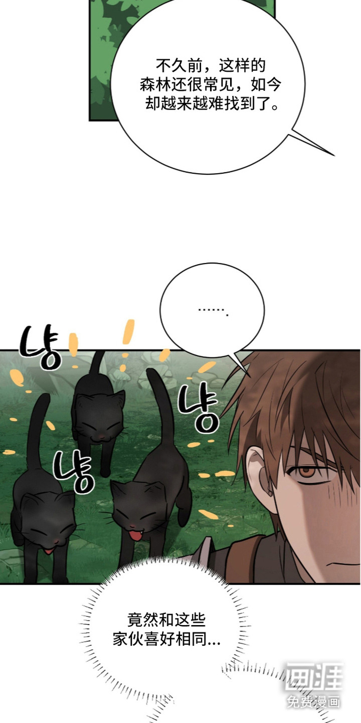 月夜誓言漫画-图17