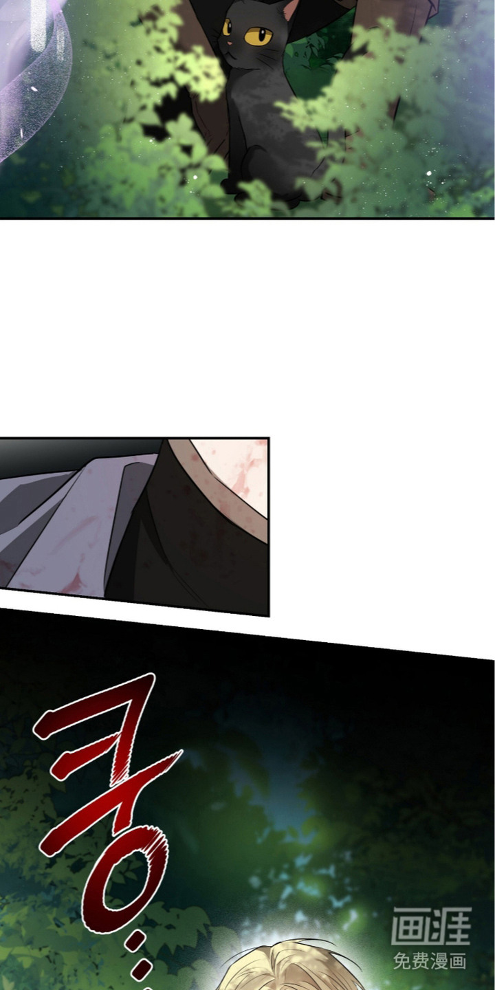 月夜誓言漫画-图12