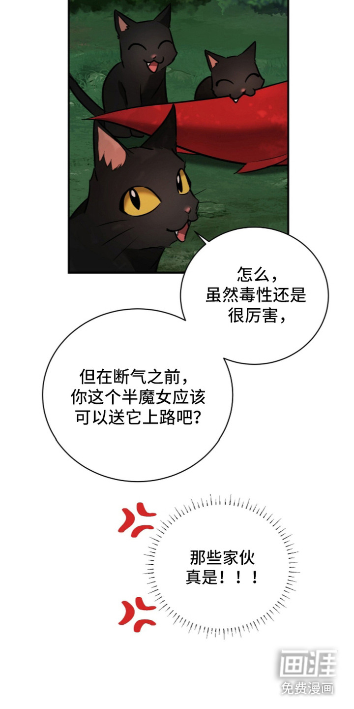 月夜誓言漫画-图14